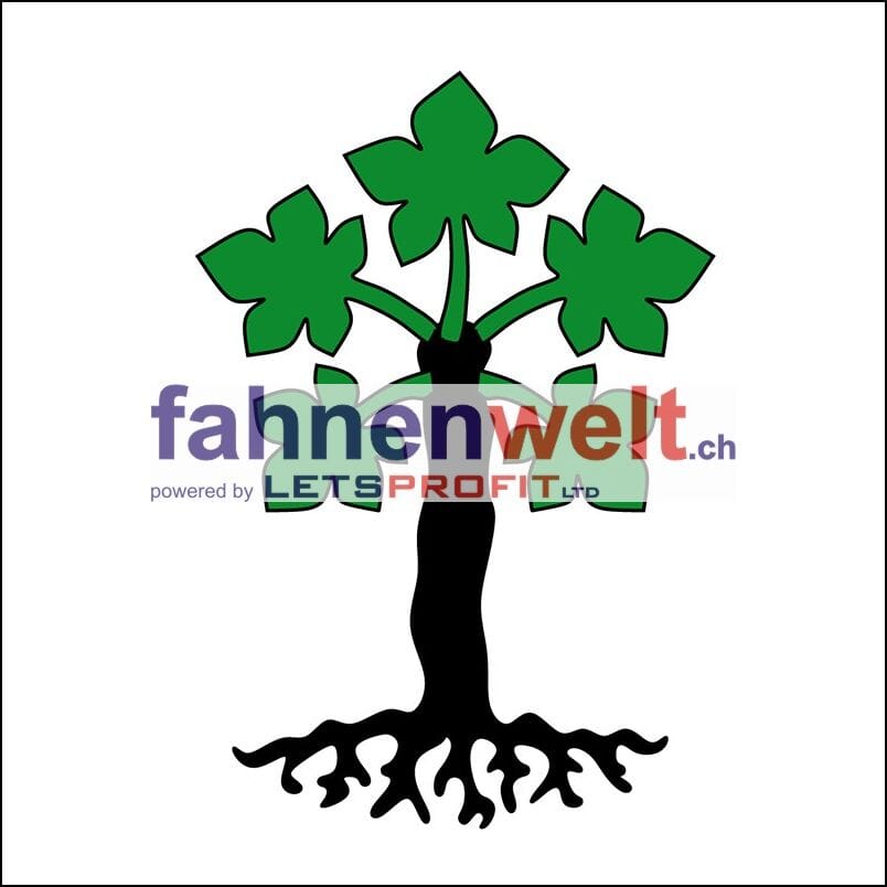Fahne Gemeinde 7166 Trun (GR) | 30 x 30 cm und Gr&ouml;sser - Bild 1