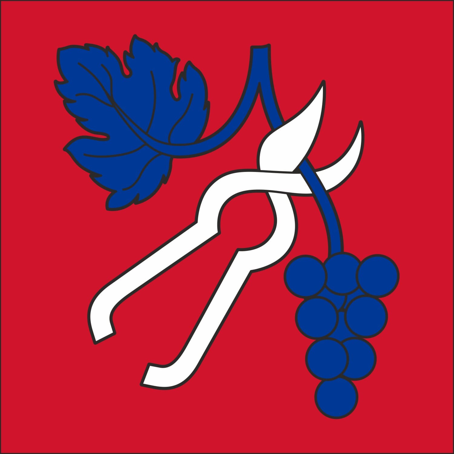 Fahne Gemeinde 6598 Tenero-Contra (TI) | 30 x 30 cm und Gr&ouml;sser - Bild 1
