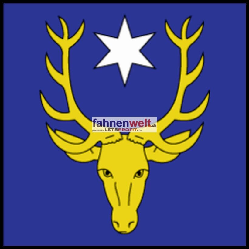Fahne Gemeinde 1536 Combremont-le-Petit Ehemalige Gemeinde (VD) | 30 x 30 cm und Gr&ouml;sser - Bild 1