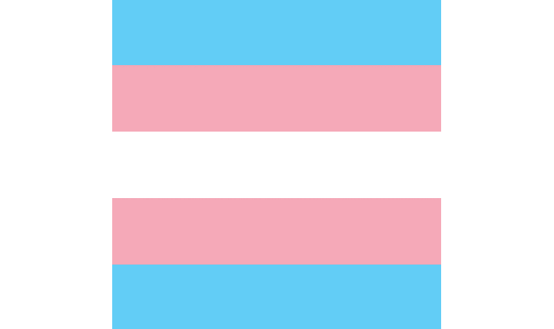 Bandana Transgender | ca. 54 x 54 cm - Bild 1
