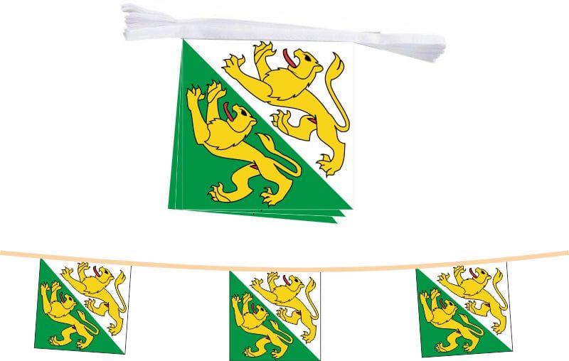 Fahnenkette Kanton Thurgau | 15 Fahnen 20 x 20 cm 5 m lang - Bild 1
