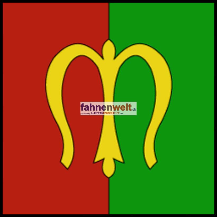 Fahne Gemeinde 1510 Moudon (VD) | 30 x 30 cm und Gr&ouml;sser - Bild 1
