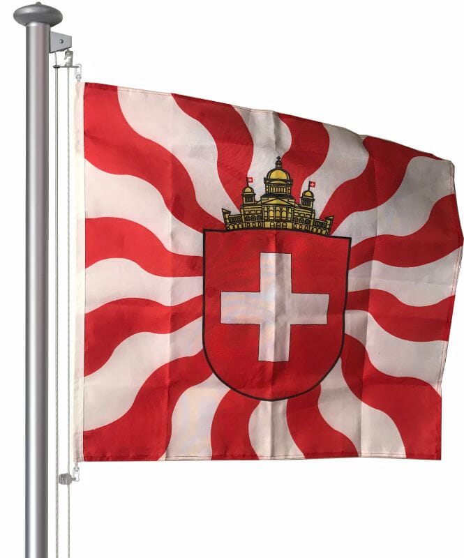 Fahne geflammt Schweiz Parlament Multi-Flag Multi-Flag | 80 x 80 cm und Gr&ouml;sser - Bild 2