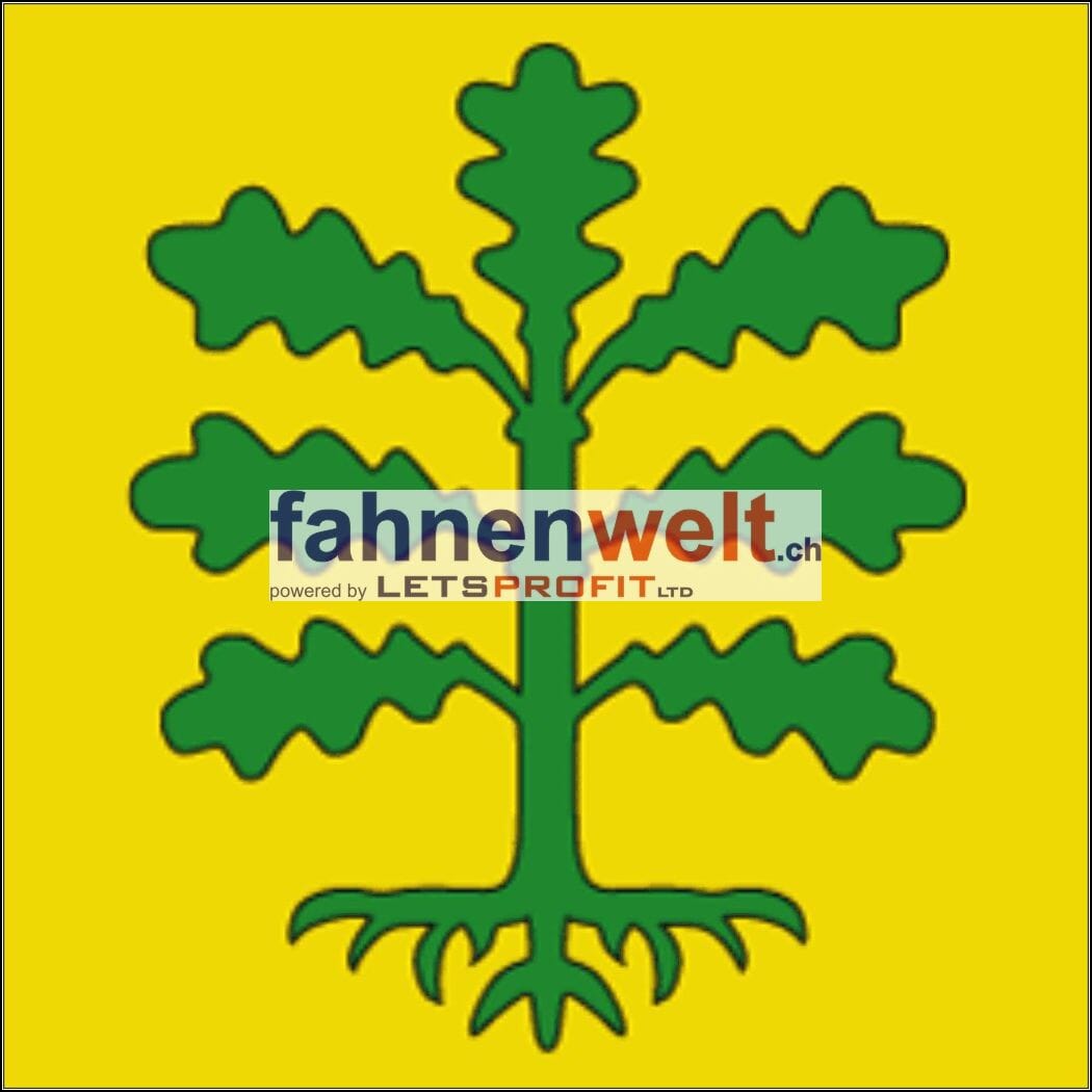 Fahne Kreis Roveredo (GR) | 30 x 30 cm und Gr&ouml;sser - Bild 1