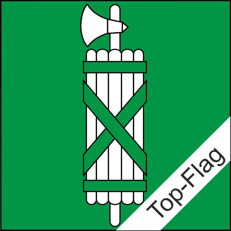 Fahne St. Gallen SG gedruckt | 120 x 120 cm - Bild 1