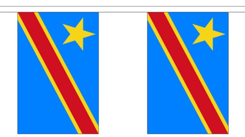 Fahnenkette Kongo Demokratische Republik gedruckt aus Stoff | 30 Fahnen 15 x 22.5 cm 9 m lang - Bild 1