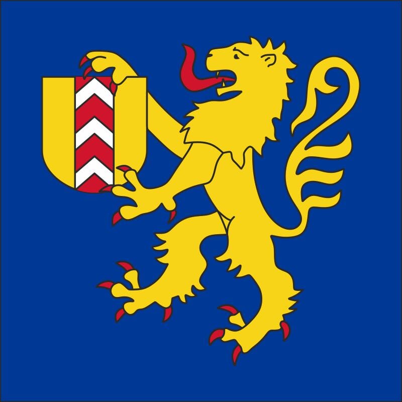 Fahne Gemeinde 2065 Savagnier Ehemalige Gemeinde (NE) | 30 x 30 cm und Gr&ouml;sser - Bild 1