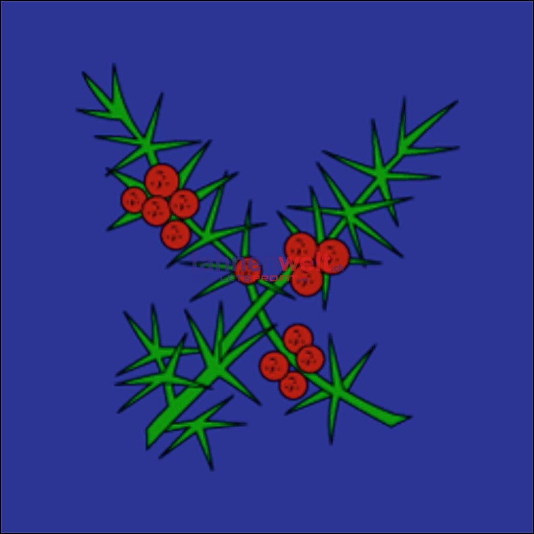 Fahne Gemeinde 2208 Les Hauts-Geneveys Ehemalige Gemeinde (NE) | 30 x 30 cm und Gr&ouml;sser - Bild 1