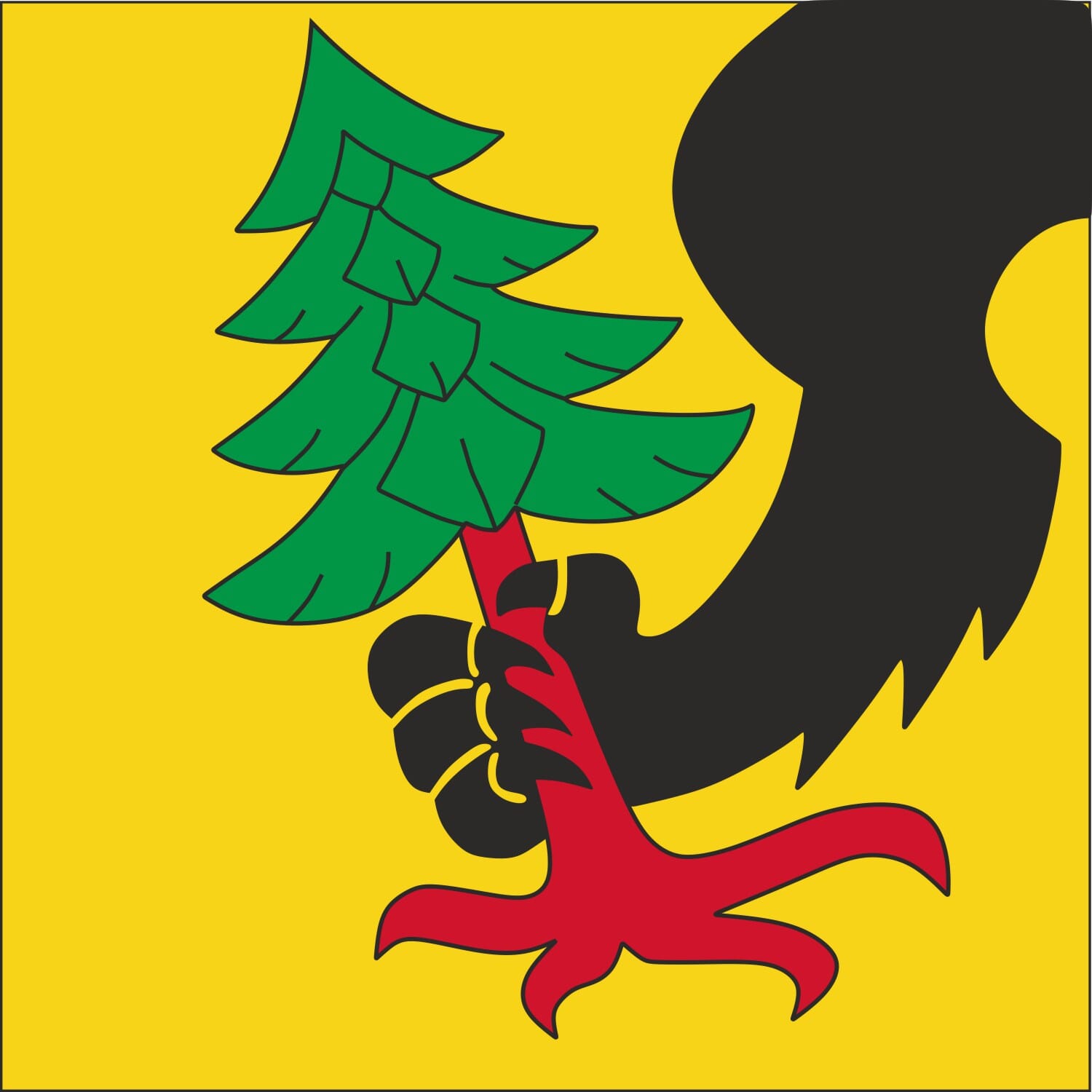 Fahne Gemeinde 3153/3154 R&uuml;schegg (BE) | 30 x 30 cm und Gr&ouml;sser - Bild 1