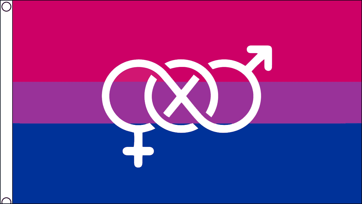 Bi-Pride Symbol Fahne gedruckt | 90 x 150 cm - Bild 1