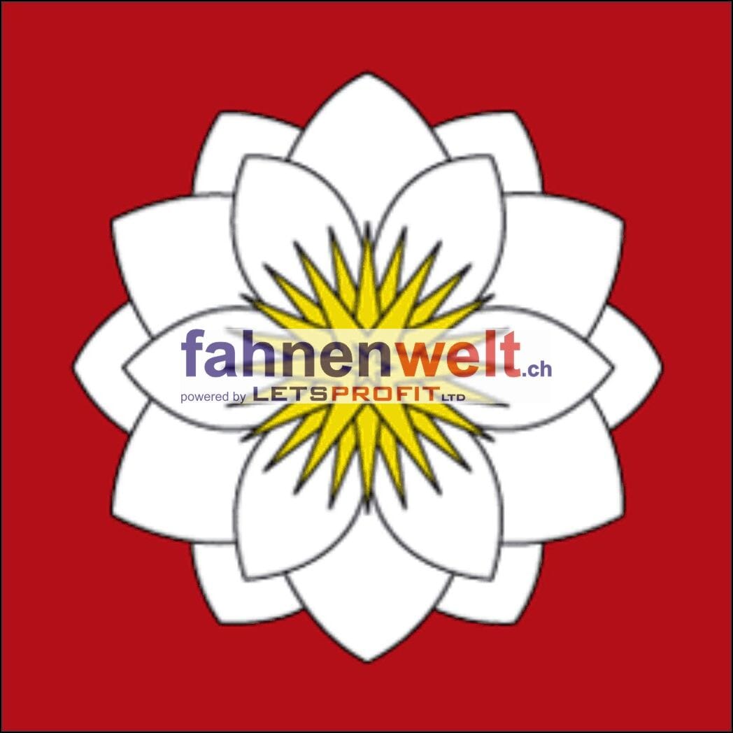 Fahne Gemeinde 6523 Seewen Ehemalige Gemeinde (SZ) | 30 x 30 cm und Gr&ouml;sser - Bild 1