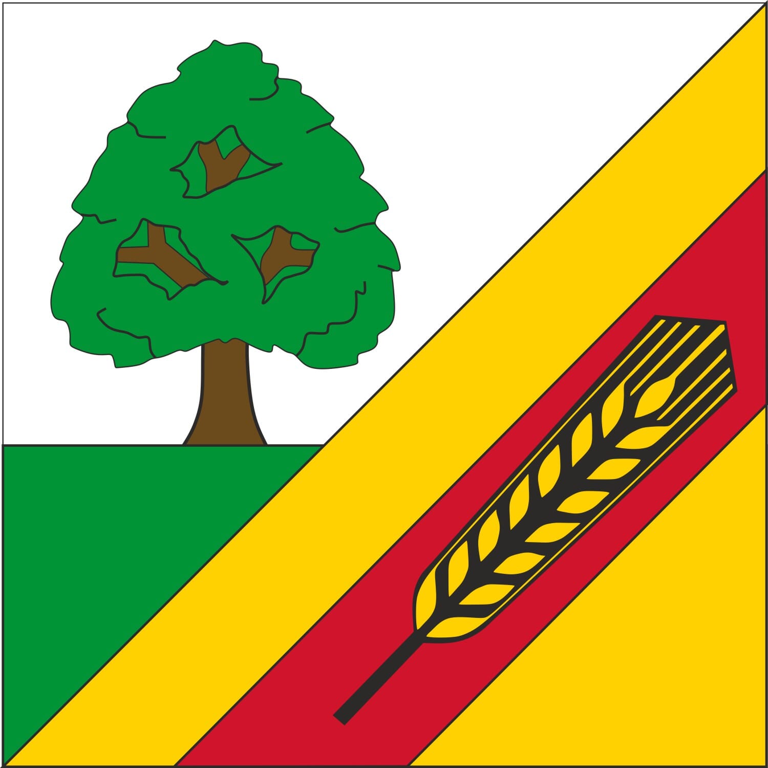 Fahne Gemeinde 4574 L&uuml;sslingen Nennigkofen (SO) | 30 x 30 cm und Gr&ouml;sser - Bild 1