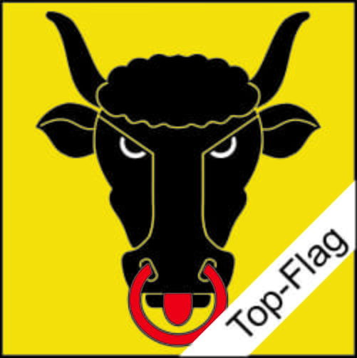 Fahne Uri UR gedruckt | 150 x 150 cm - Bild 1
