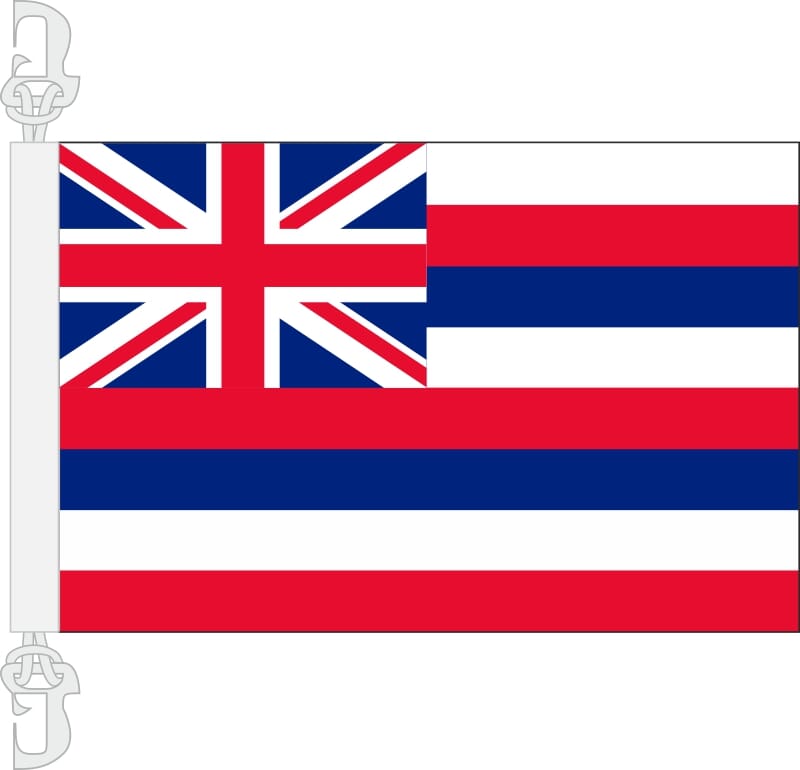 Hawaii Hissfahne gedruckt im Querformat | 30 x 45 cm - Bild 1