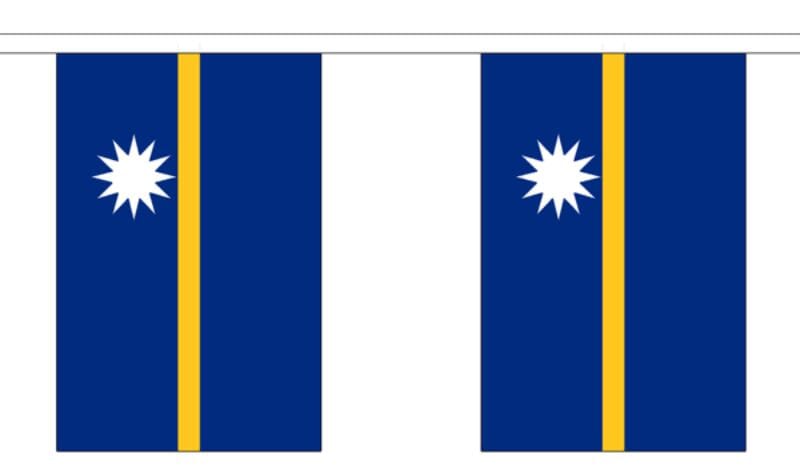 Fahnenkette Nauru gedruckt aus Stoff | 30 Fahnen 15 x 22.5 cm 9 m lang - Bild 1