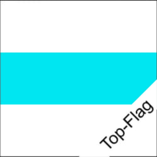 Fahne Zug ZG gedruckt | 150 x 150 cm - Bild 1