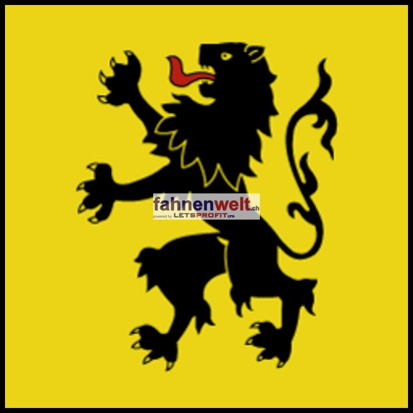 Fahne Gemeinde 1682 Dompierre (VD) | 30 x 30 cm und Gr&ouml;sser - Bild 1