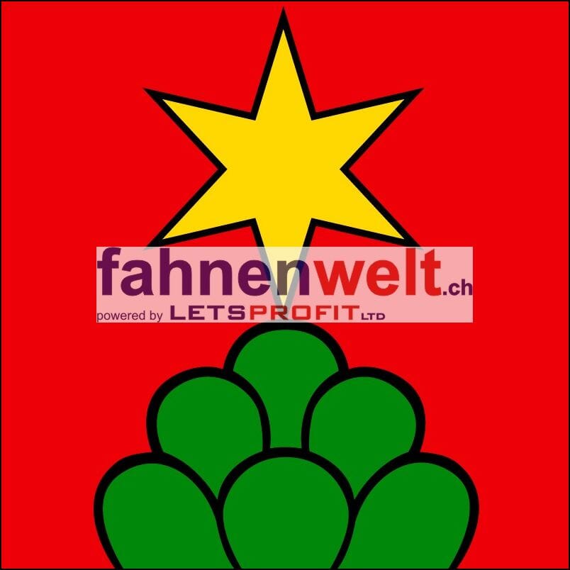 Fahne Gemeinde 4938 Rohrbach (BE) | 30 x 30 cm und Gr&ouml;sser - Bild 1