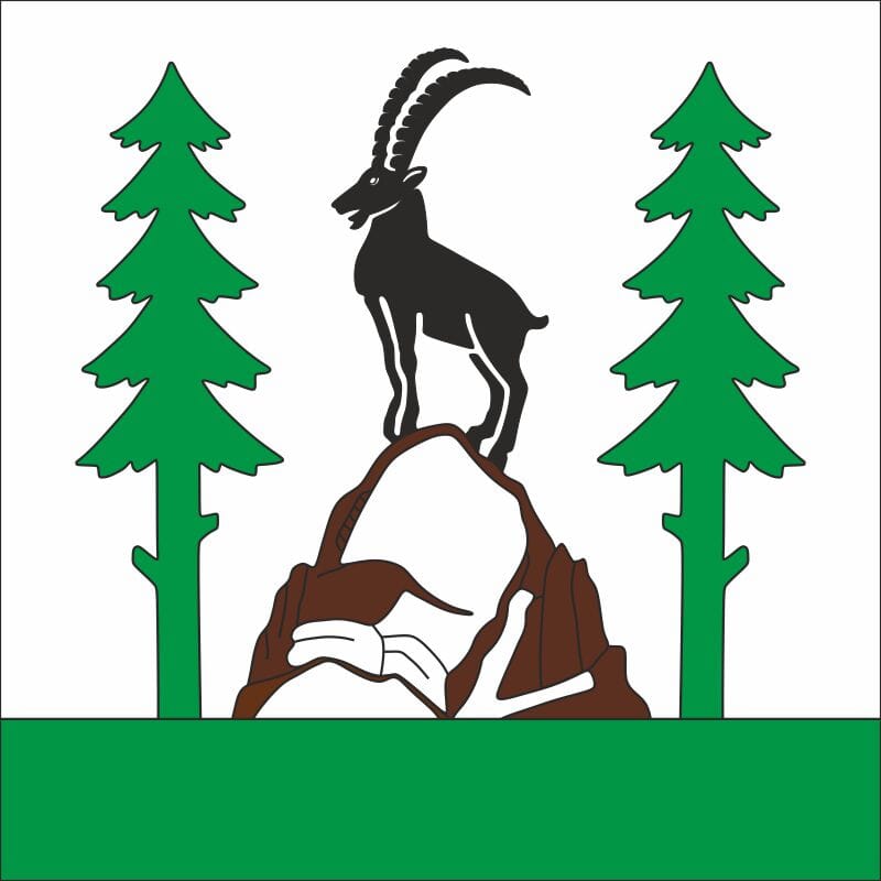 Fahne Gemeinde 9658 Wildhaus ehemalige Gemeinde(SG) | 30 x 30 cm und Gr&ouml;sser - Bild 1