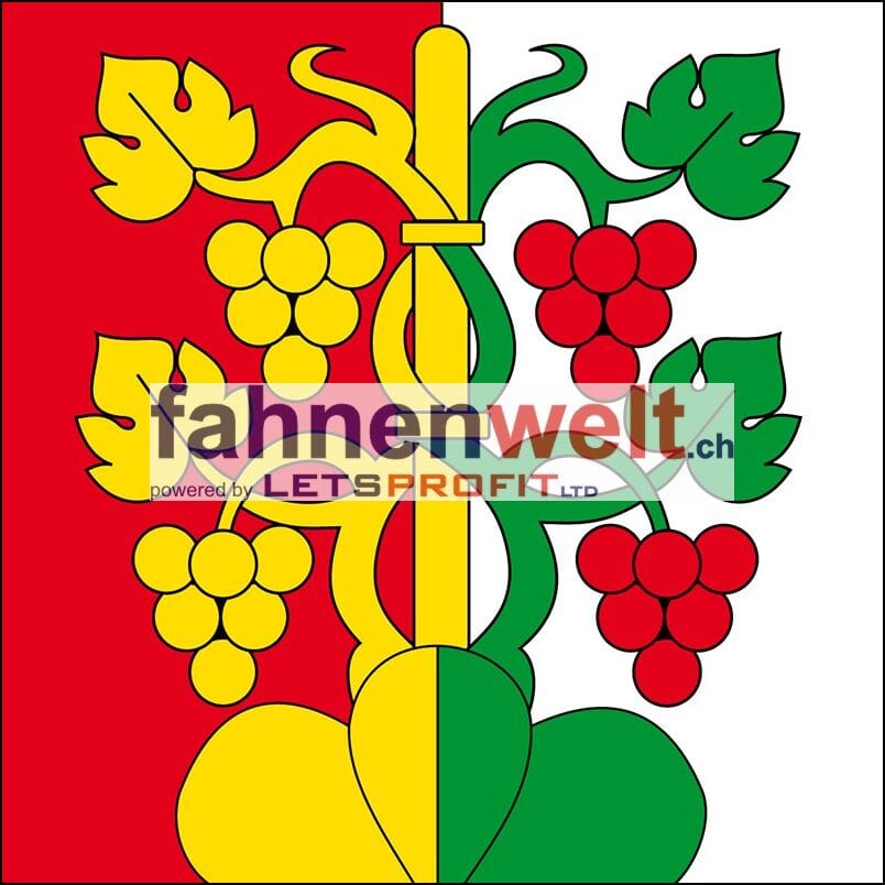 Fahne Gemeinde 3652 Hilterfingen (BE) | 30 x 30 cm und Gr&ouml;sser - Bild 1