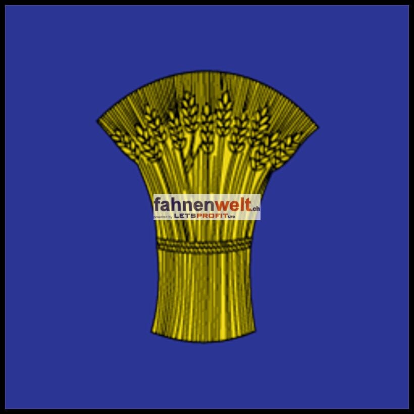 Fahne Gemeinde 1251 Gy (GE) | 30 x 30 cm und Gr&ouml;sser - Bild 1