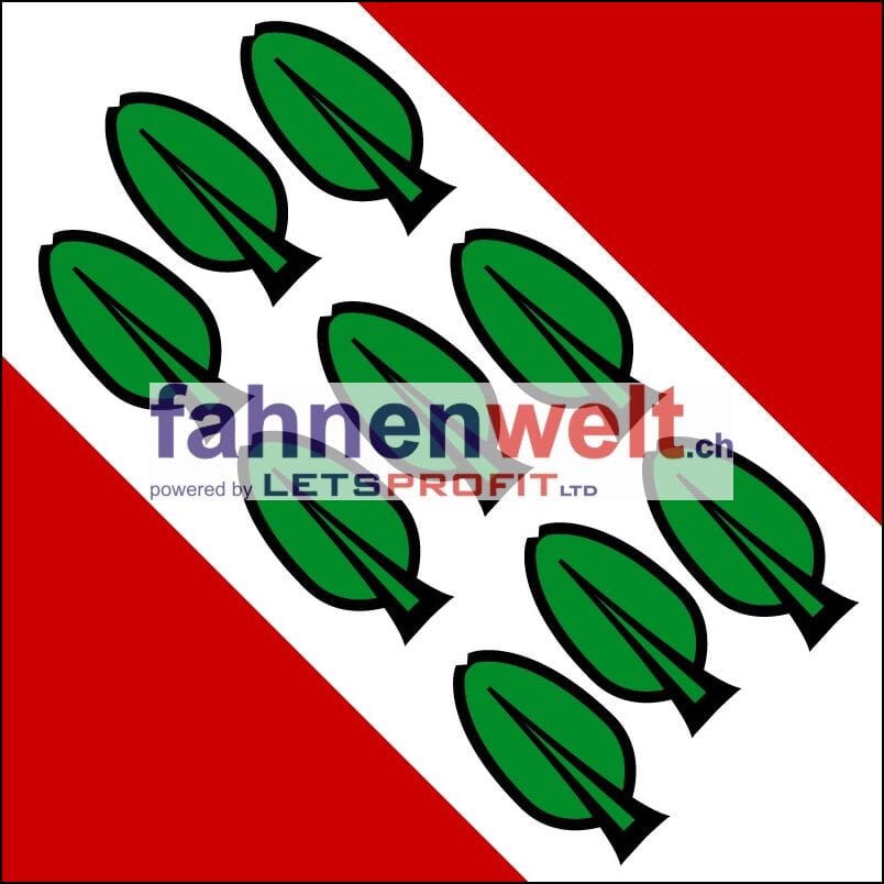 Fahne Gemeinde 3053 M&uuml;nchenbuchsee (BE) | 30 x 30 cm und Gr&ouml;sser - Bild 1