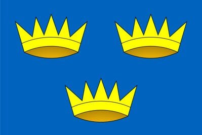 Munster Fahne gedruckt | 90 x 150 cm - Bild 1