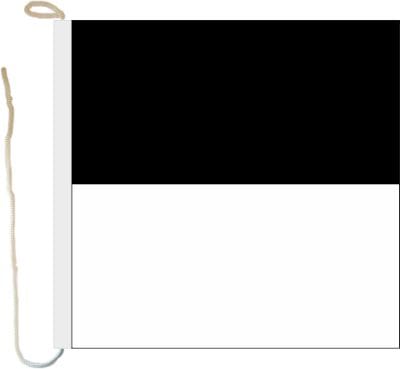 Bootsfahne / Bootsflagge Freiburg | 30 x 30 cm - Bild 1