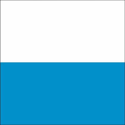 50% Fahne Luzern (LU) gedruckt | 100 x 100 cm | Multi-Flag - Bild 1
