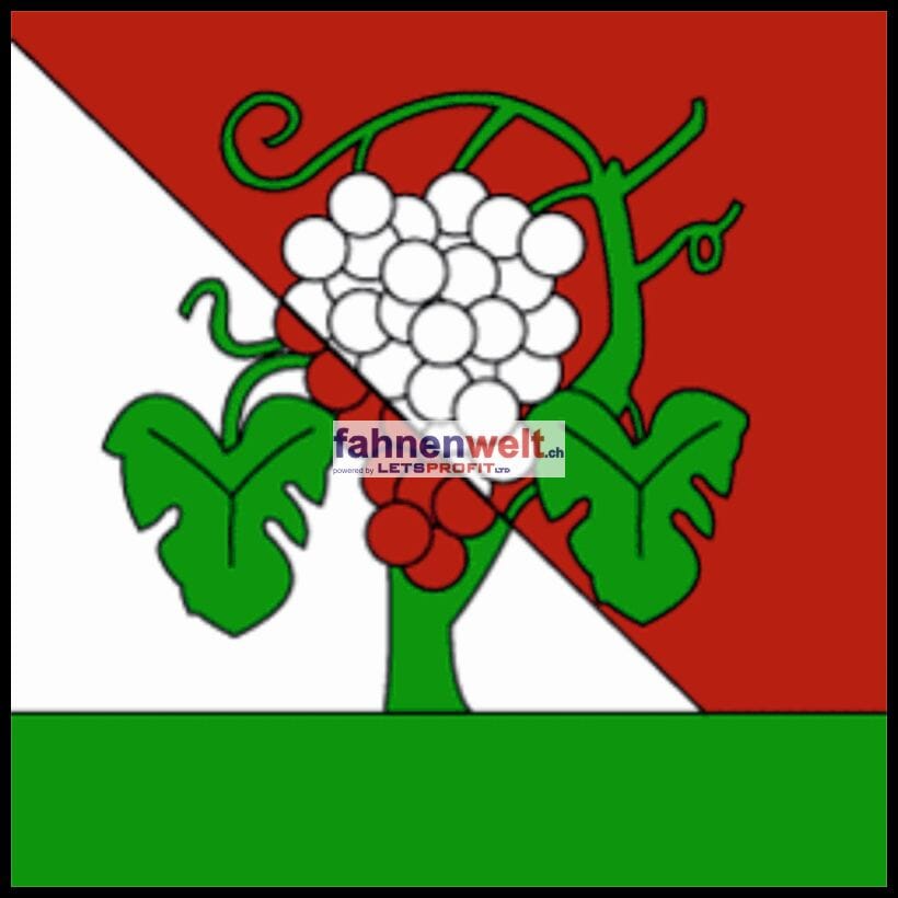 Fahne Gemeinde 1097 Riex Ehemalige Gemeinde (VD) | 30 x 30 cm und Gr&ouml;sser - Bild 1
