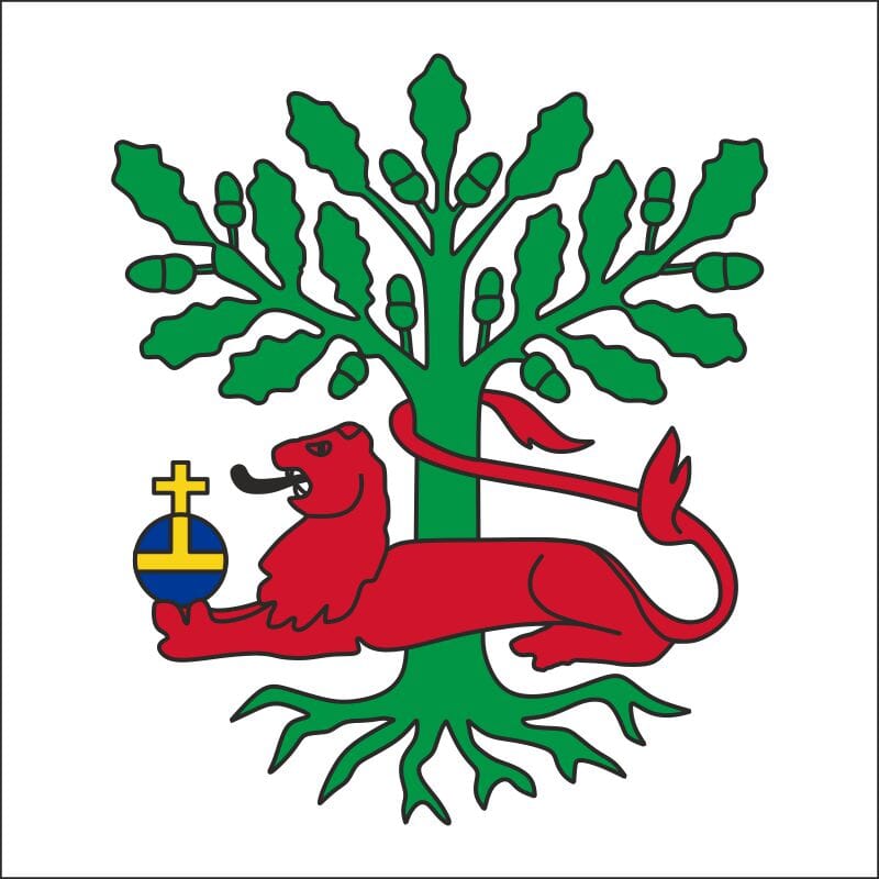 Fahne Gemeinde 9451 Kriessern Ehemalige Gemeinde (SG) | 30 x 30 cm und Gr&ouml;sser - Bild 1
