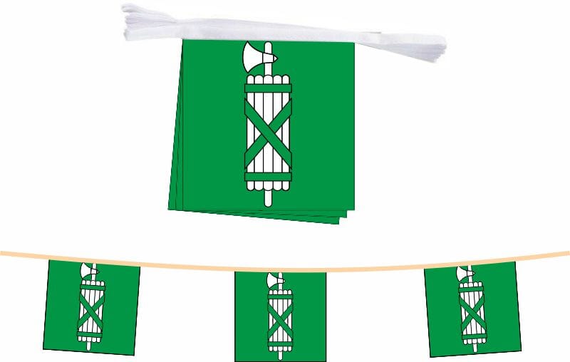 Fahnenkette Kanton St. Gallen | 15 Fahnen 20 x 20 cm 5 m lang - Bild 1