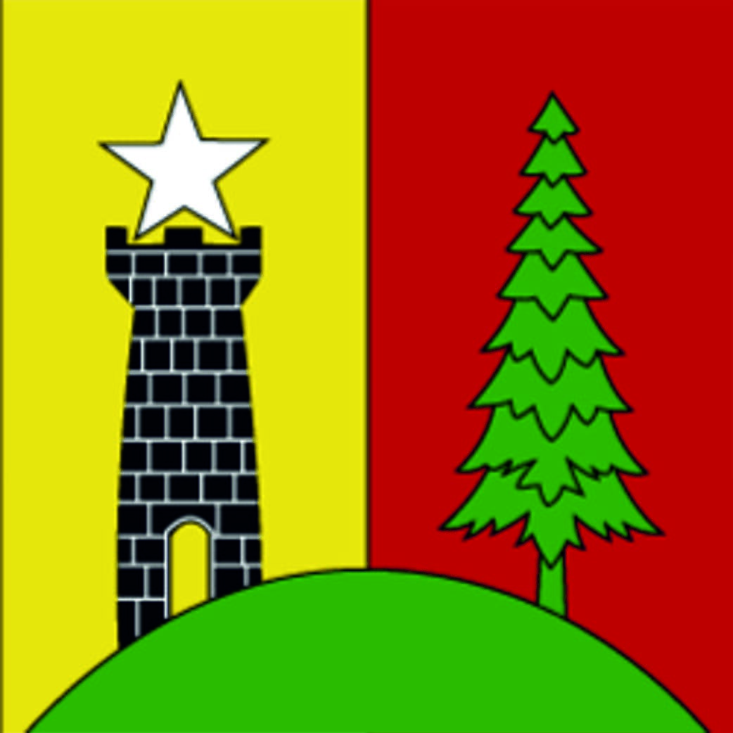 Fahne Gemeinde 1264 Saint-Cergue (VD) | 30 x 30 cm und Gr&ouml;sser - Bild 1