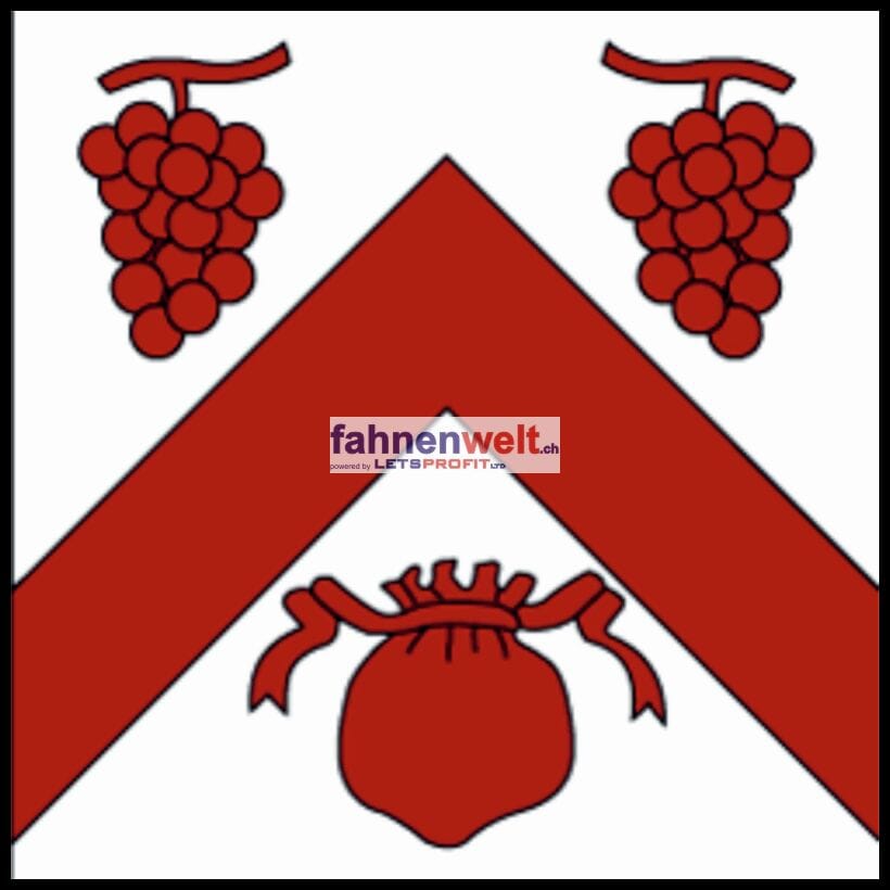 Fahne Gemeinde 1183 Bursins (VD) | 30 x 30 cm und Gr&ouml;sser - Bild 1