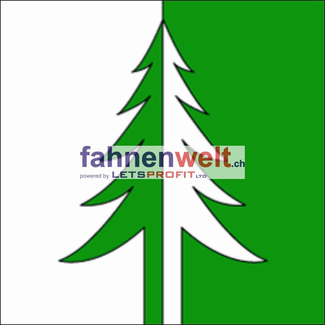 Fahne Gemeinde 4558 Heinrichswil Ehemalige Gemeinde (SO) | 30 x 30 cm und Gr&ouml;sser - Bild 1