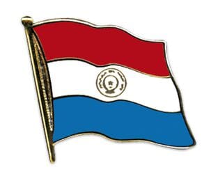 Flaggen Pin Paraguay geschwungen | ca. 20 mm - Bild 1