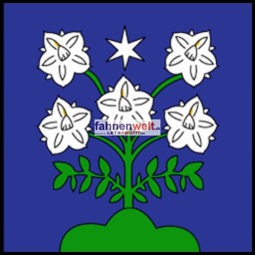 Fahne Gemeinde 1083 M&eacute;zi&egrave;res Ehemalige Gemeinde (VD) | 30 x 30 cm und Gr&ouml;sser - Bild 1