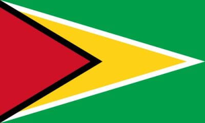 L&auml;nderfahne Guyana | Multi-Flag | Gr&ouml;sse ca. 90 x 150 cm - Bild 1