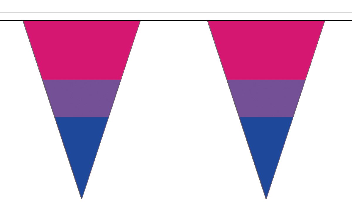 Wimpelkette Bi-Pride-Farben gestreift aus Stoff | 50 Wimpel 20 x 30 cm 20 m lang - Bild 1