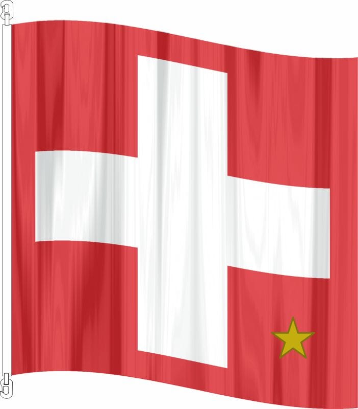 SLF Fahne Schweiz gedruckt | 150 x 150 cm - Bild 1