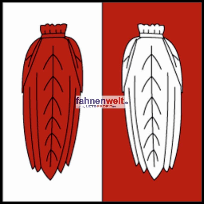 Fahne Gemeinde 1525 Henniez (VD) | 30 x 30 cm und Gr&ouml;sser - Bild 1