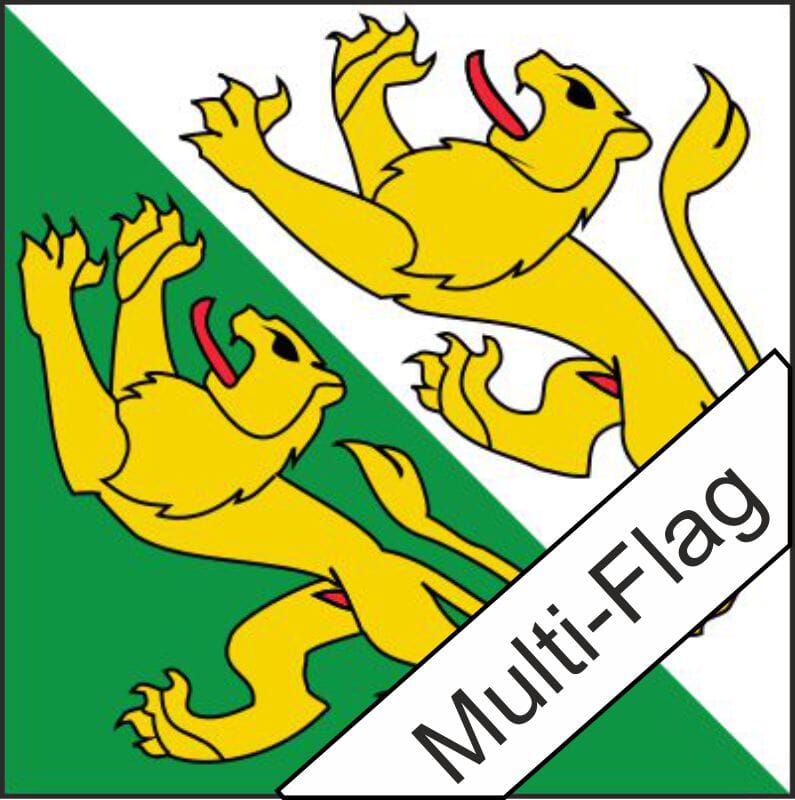 Fahne Thurgau TG gedruckt | 40 x 40 cm - Bild 1