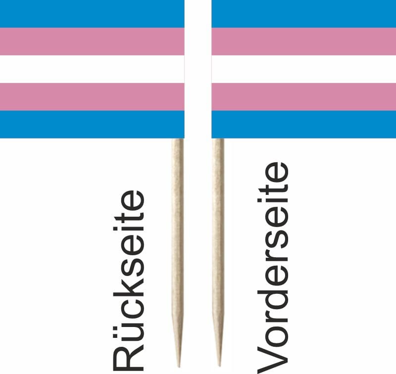 Mini-Fahnen Transgender Pack &agrave; 50 St&uuml;ck | 30 x 40 mm - Bild 2