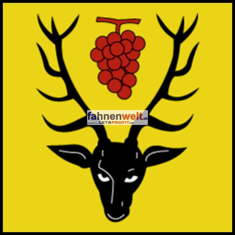 Fahne Gemeinde 1436 Chamblon (VD) | 30 x 30 cm und Gr&ouml;sser - Bild 1