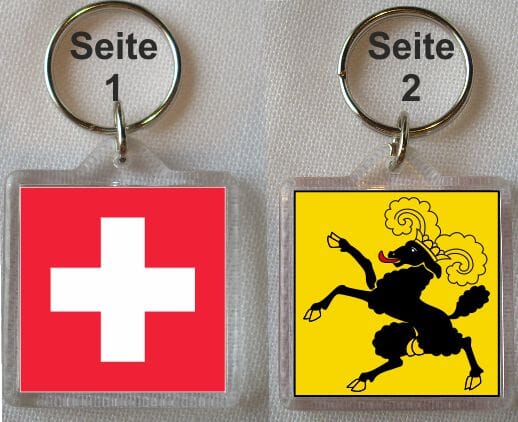 Schl&uuml;sselanh&auml;nger Schaffhausen / Schweiz | 40 x 40 mm - Bild 1