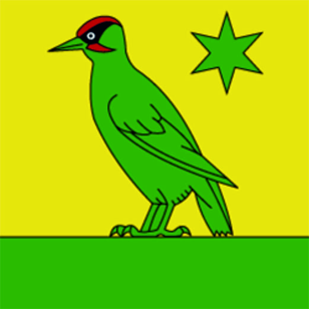 Fahne Gemeinde 9608 Ganterschwil Ehemalige Gemeinde (SG) | 30 x 30 cm und Gr&ouml;sser - Bild 1