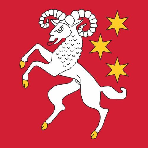 Fahne Gemeinde 8754 Netstal Ehemalige Gemeinde (GL) | 30 x 30 cm und Gr&ouml;sser - Bild 1