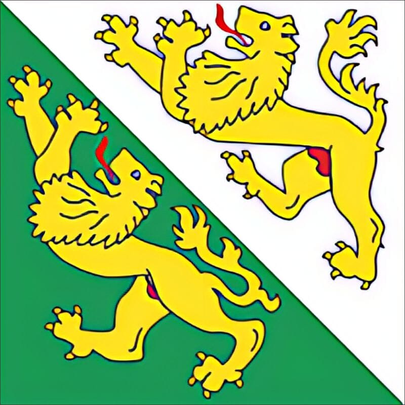 Fahne Thurgau TG gedruckt | 150 x 150 cm - Bild 2