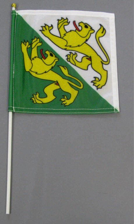 Fahne Thurgau am Stab Pack &agrave; 5 oder 15 St&uuml;ck | 20 x 20 cm | Stoff - Bild 1