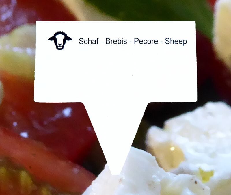 Mini-Schilder Schaf Pack &agrave; 50 St&uuml;ck | 20 x 40 mm - Bild 1